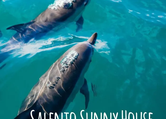 Salento Sunny House Villa *