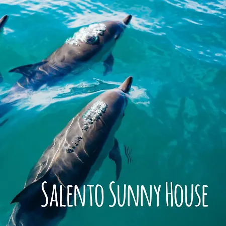 Salento Sunny House Villa *